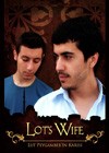 Lot's Wife (2008).jpg